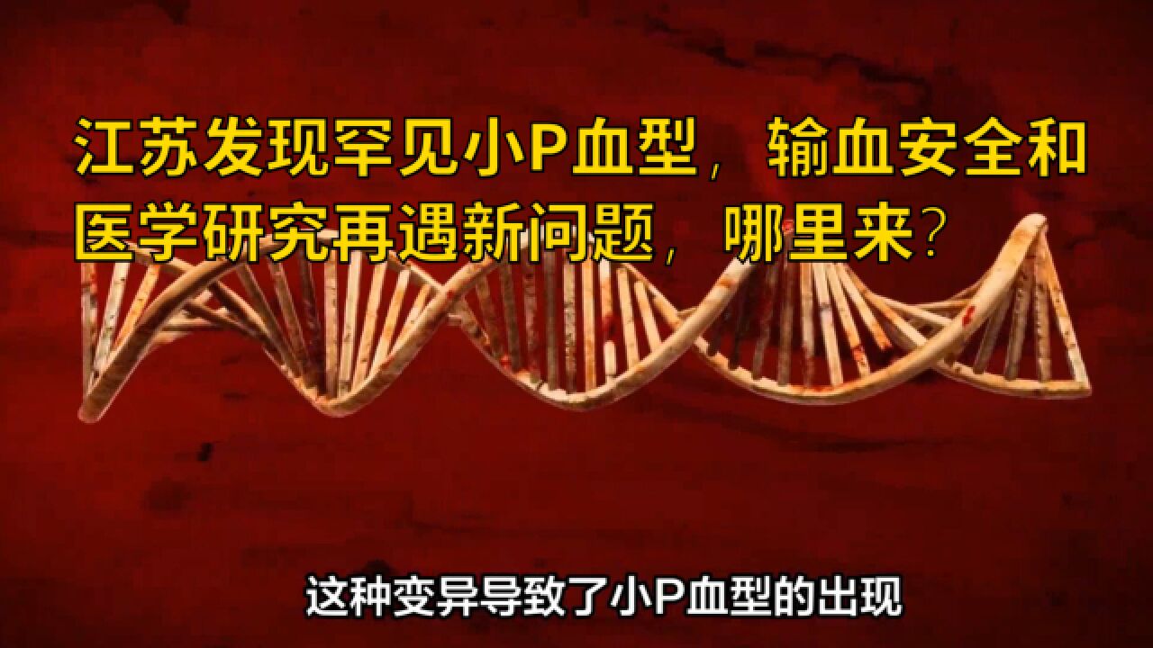 江苏发现罕见小P血型,输血安全和医学研究再遇新问题,哪里来?