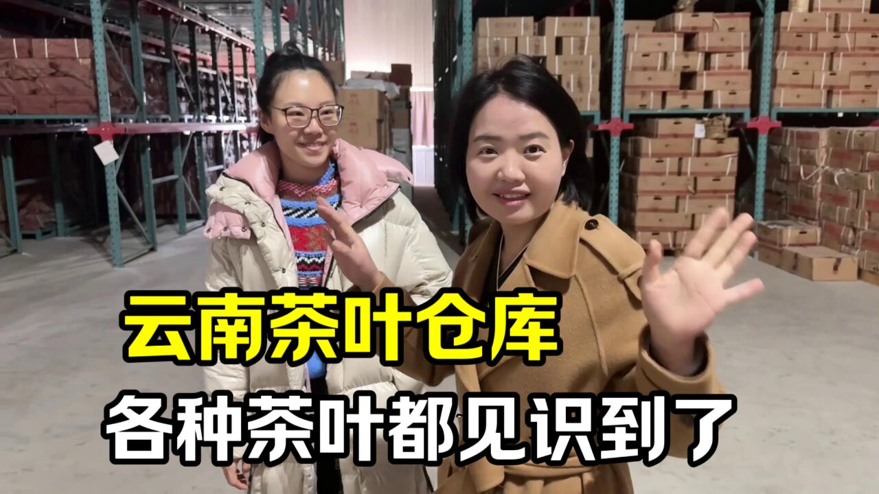 玉涵实拍云南茶叶源头仓库,被这场景震撼到,20年老茶随处可见!