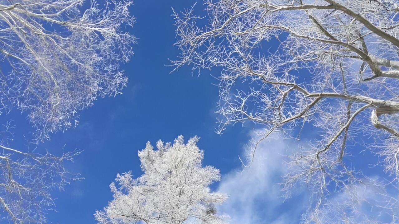 出行请注意!河北省保定市发布暴雪橙色预警