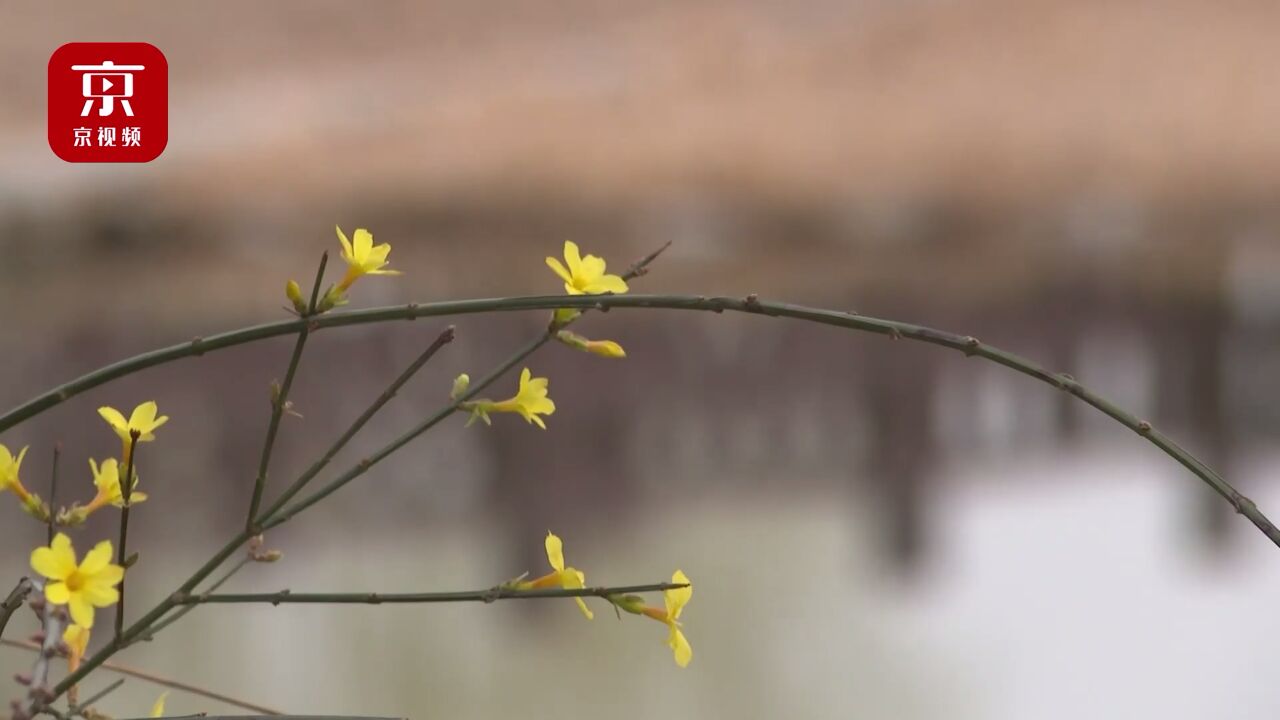 春暖花开!走进城市副中心遇见春日美好