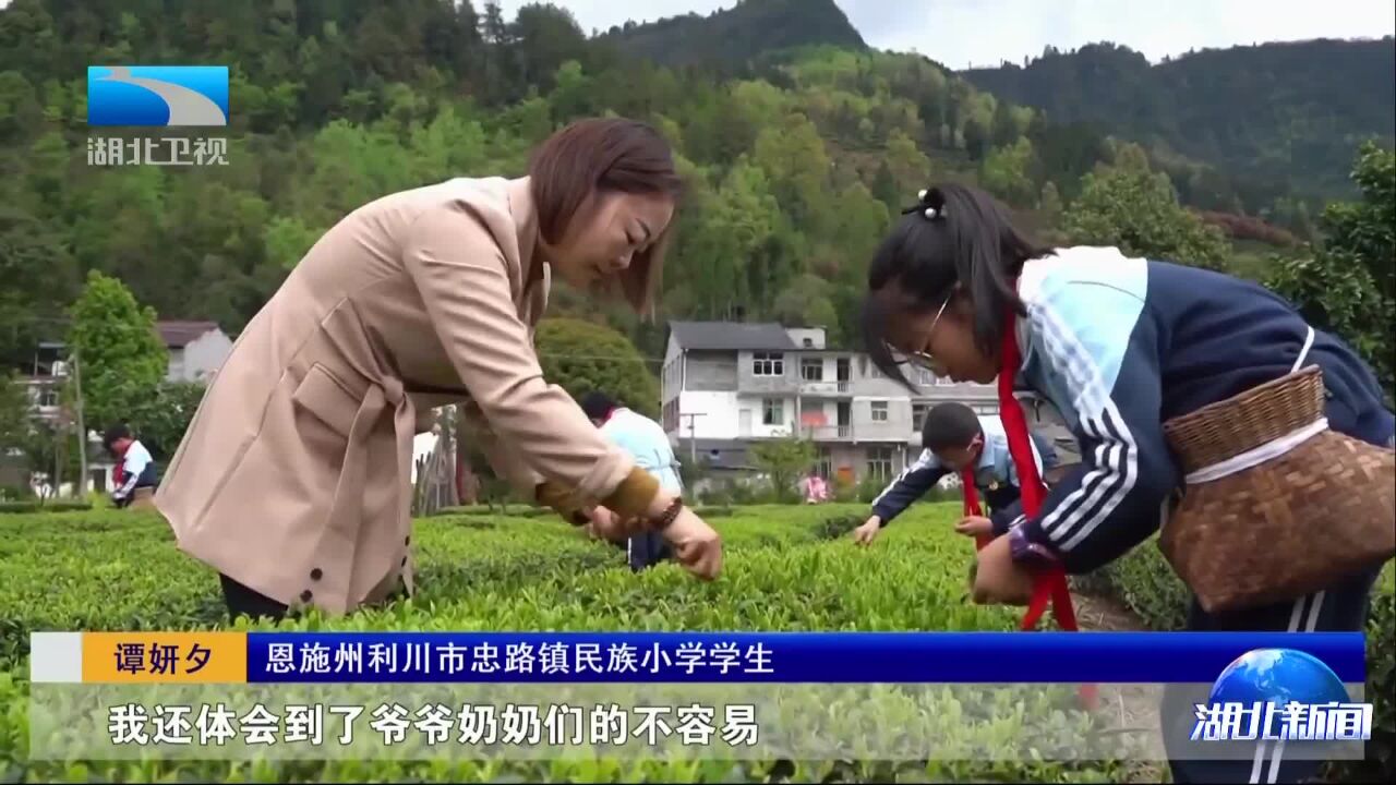 春天里ⷦ𔻥Š›湖北丨“春日课堂”有益又有趣