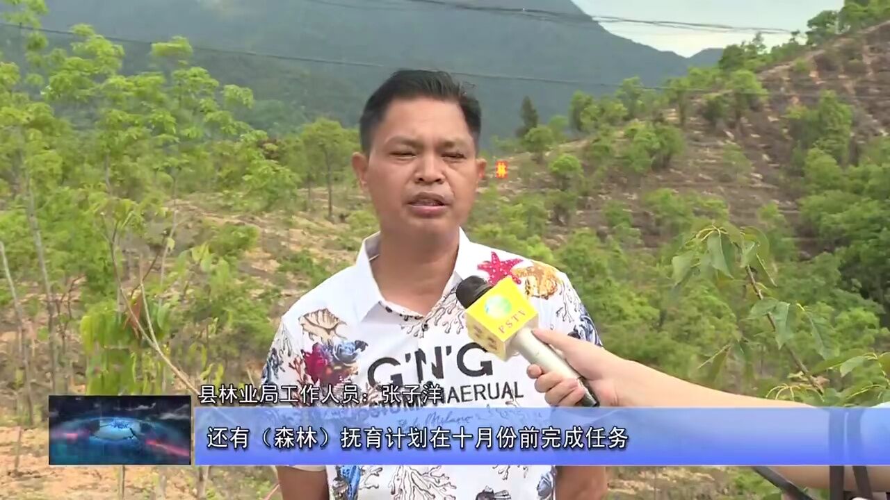 1绿美丰顺 全民参与 共建共管