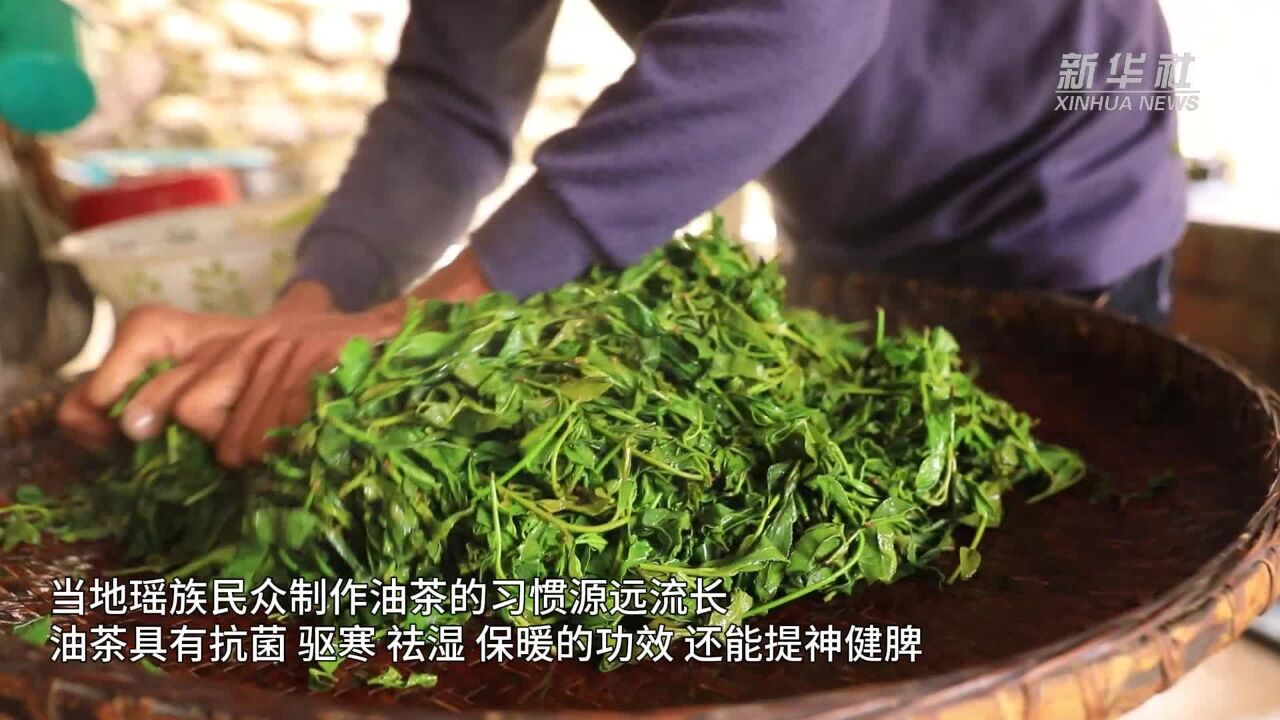 湖南江永:瑶山油茶香飘四方