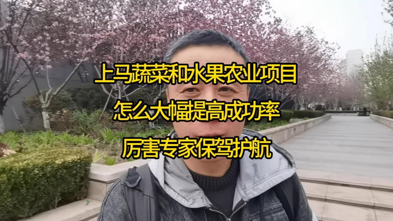 上马蔬菜和水果农业项目,怎么大幅提高成功率?厉害专家保驾护航