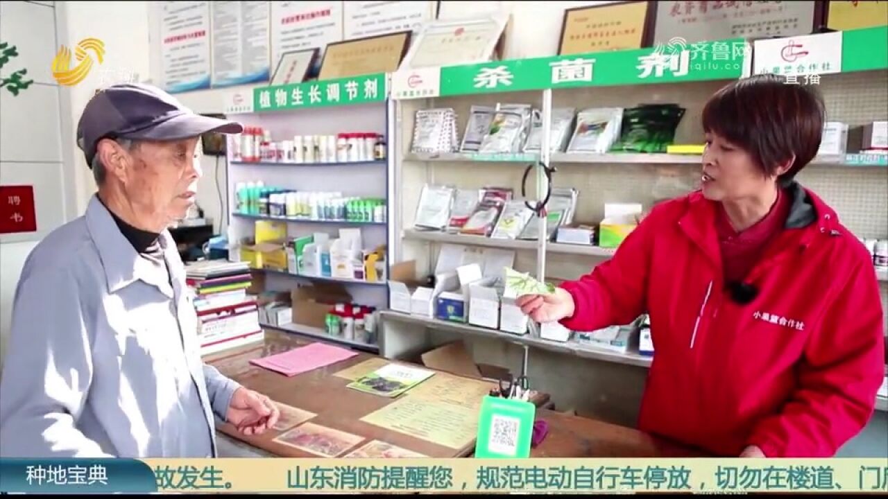 这个果蔬种植合作社一年产值能达两个亿,到底靠的是什么?来看看