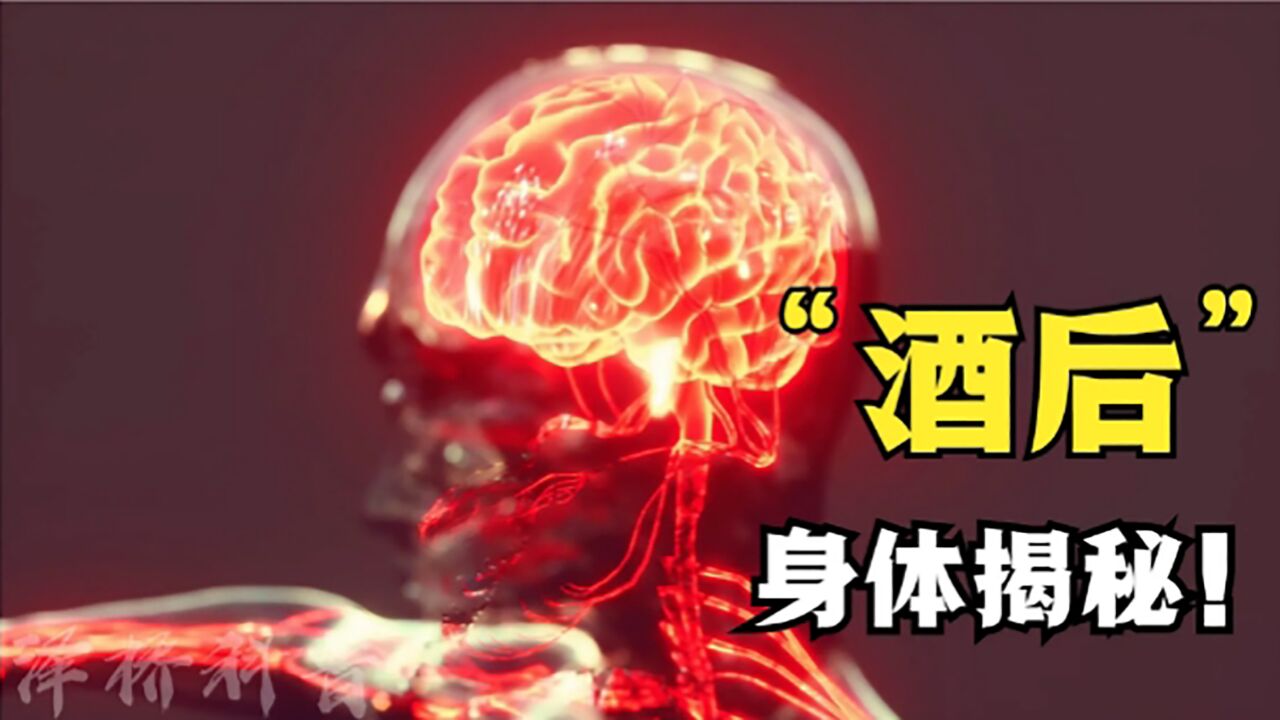 酒精是如何偷走你的健康?3D动画带你一探究竟!