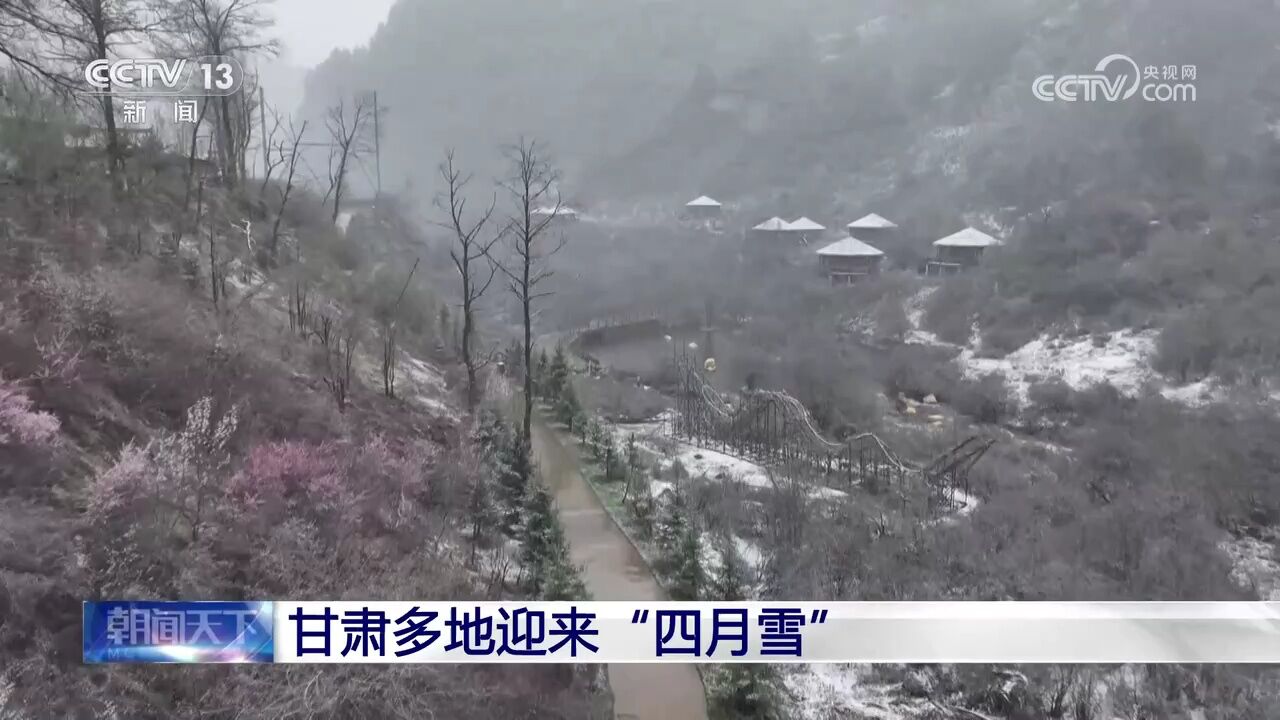 甘肃多地迎来“四月雪”