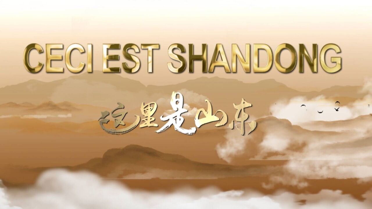 Microvid㩯 丨Ici est Shandong