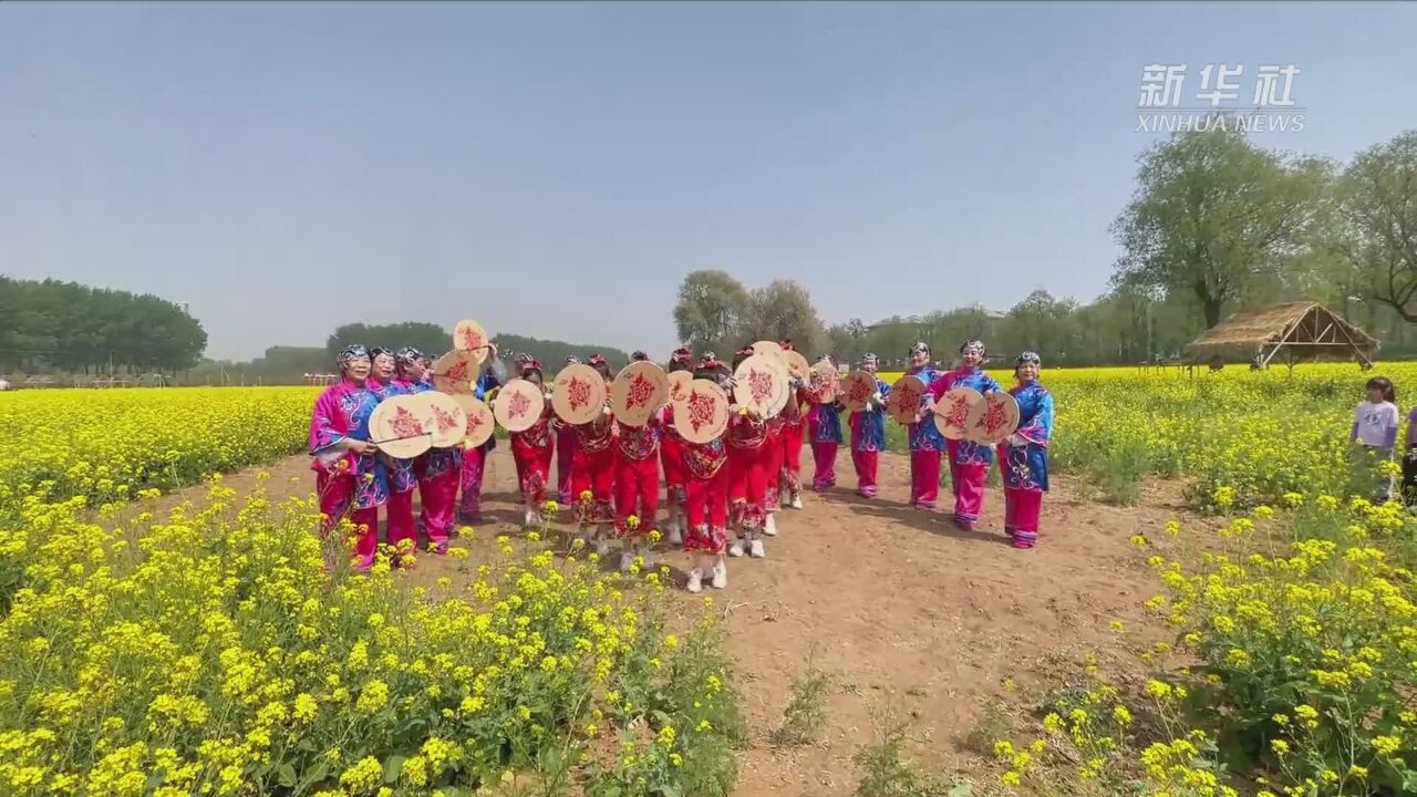 鼓舞太平:金色花田里的“非遗”传承