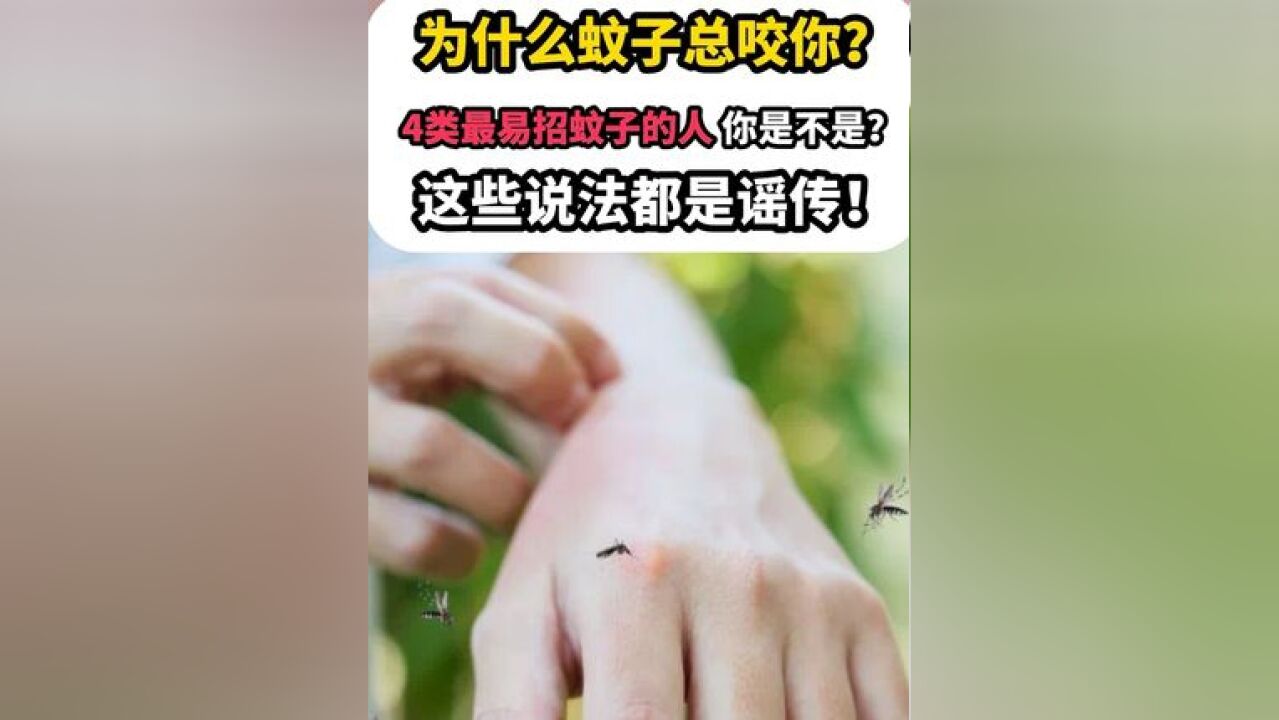 蚊子“偏爱O型血”,答案当然是NO,真的是谣传!