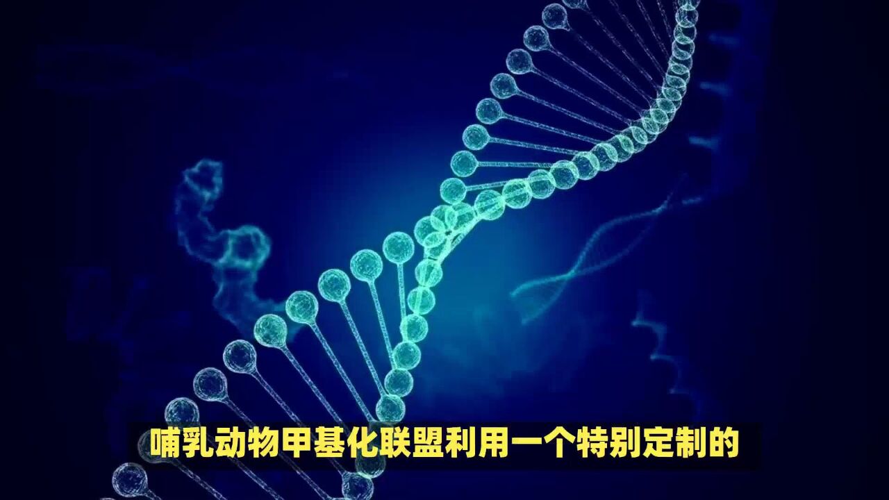 加州大学开发寿命预测模型,发现女性有更长潜在寿命