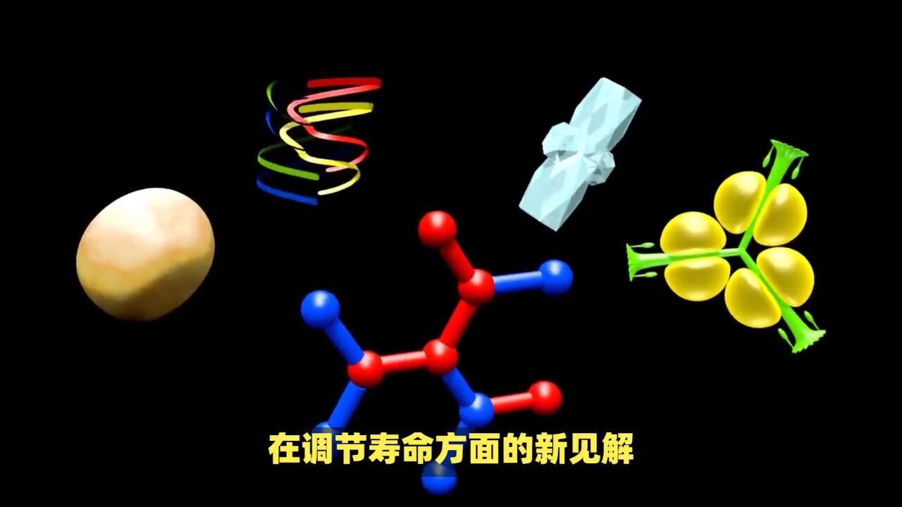 《科学》子刊揭示,维生素D延长寿命的新线索