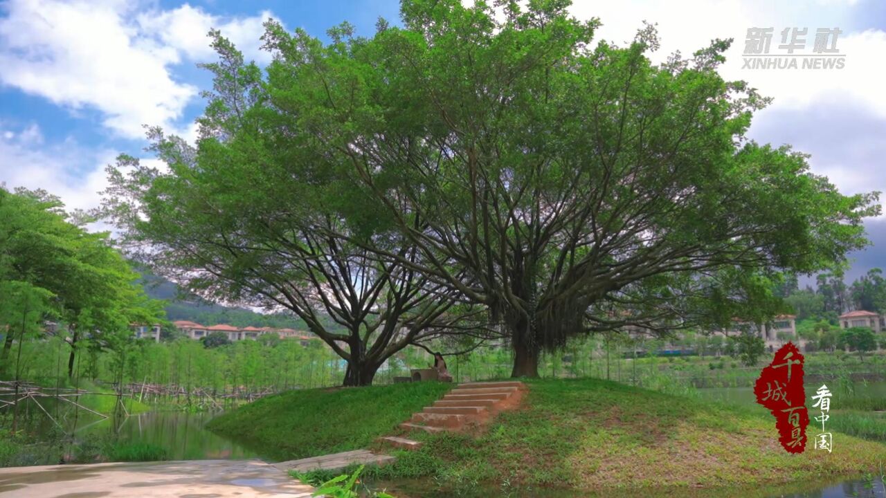 千城百县看中国|福建晋江:雨后初晴 水光潋滟