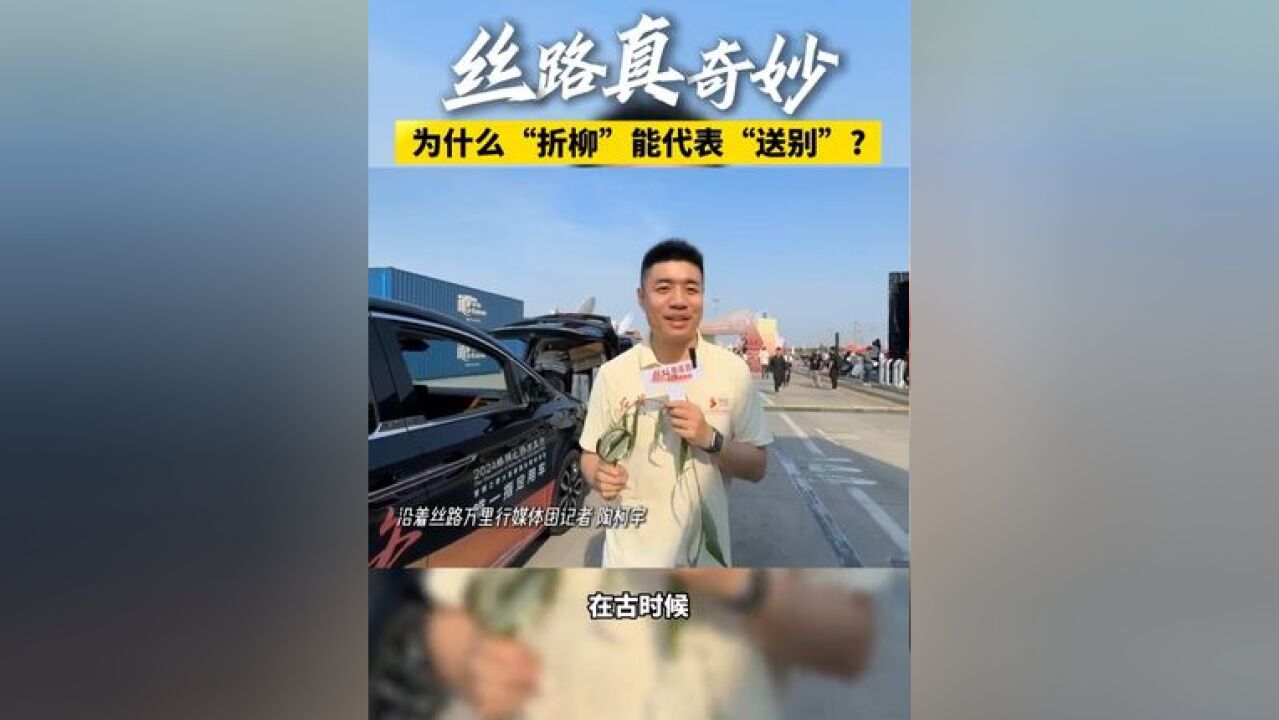 丝路真奇妙!奇妙启程|为什么折柳可以代表送别? (记者:陶柯宇 张笑坤 剪辑:高佳槐 海报:王晓博)