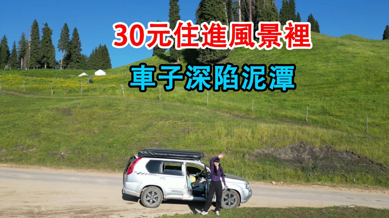 自驾旅行新疆,30元住进风景里恰西森林公园美如画,车子深陷泥潭