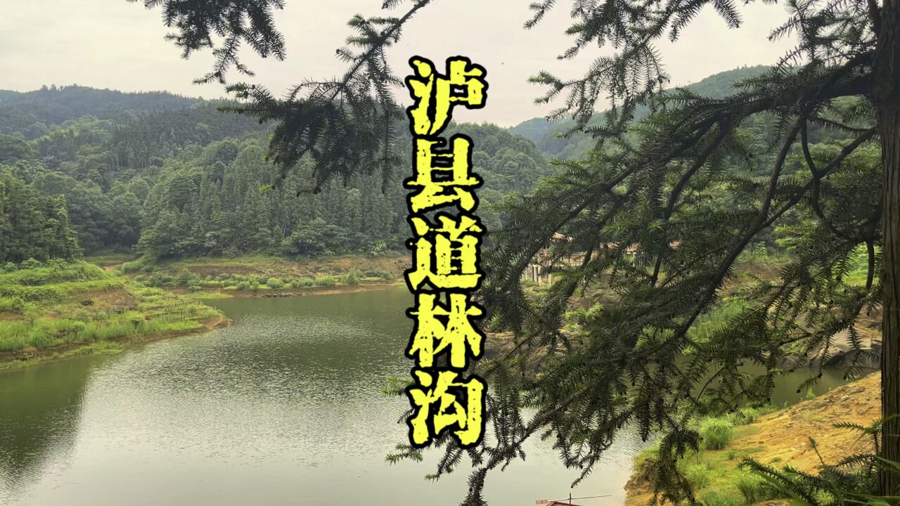 泸州泸县罕见的泉水湖,道林沟真是一处宝藏之地,还有瀑布