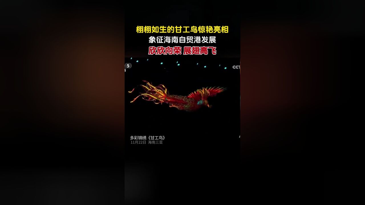 栩栩如生的甘工鸟惊艳亮相,象征海南自贸港发展欣欣向荣,展翅高飞!