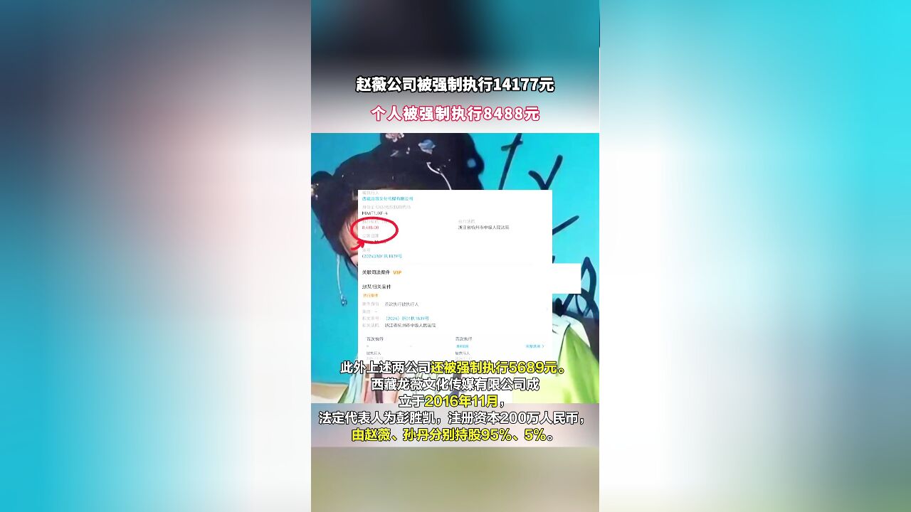 赵薇公司被强制执行14177元,个人被强制执行8488元