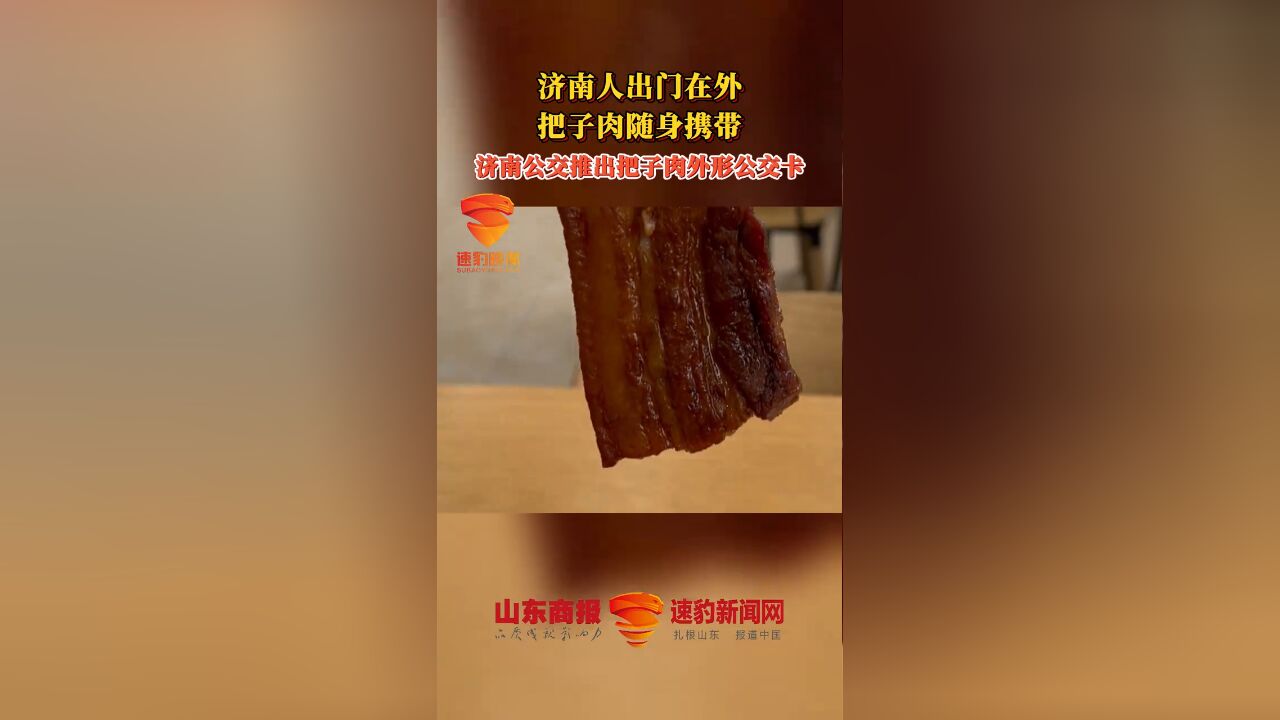 济南人出门在外,把子肉随身携带!