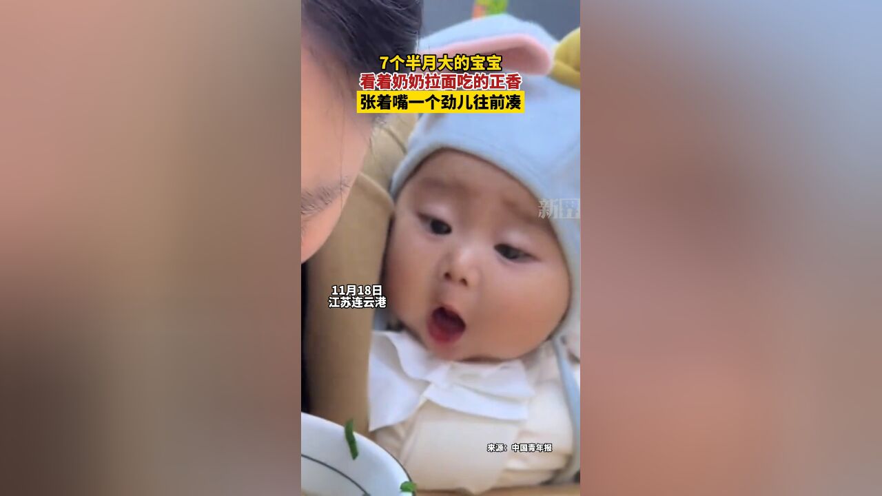 7个半月大的宝宝 看着奶奶拉面吃的正香 张着嘴一个劲儿往前凑