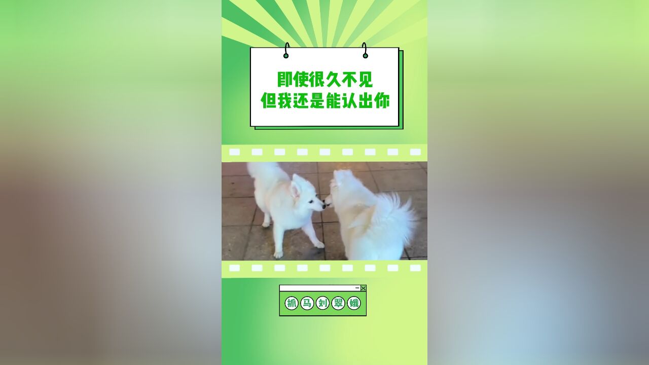 今天的心又被耶耶软化了