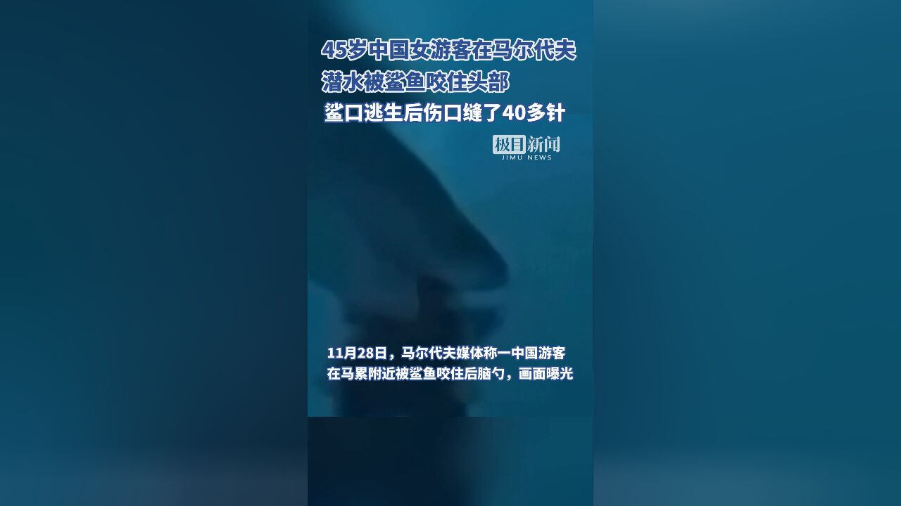 惊险画面曝光!中国女游客在马尔代夫潜水被鲨鱼咬头部,伤口缝40多针