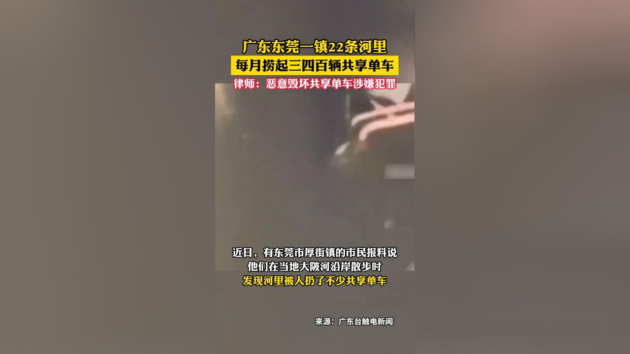 共享单车被丢河里每月可捞数百辆