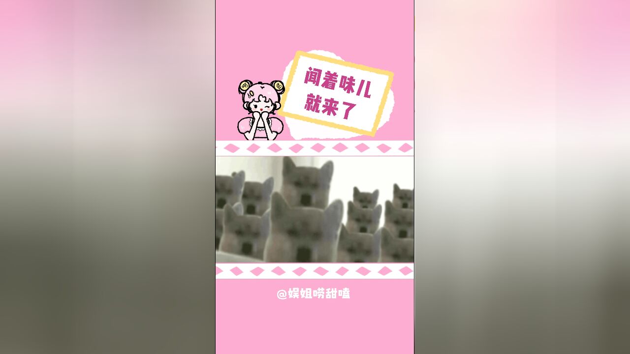 室友恋爱电话堪称男寝专用猫条