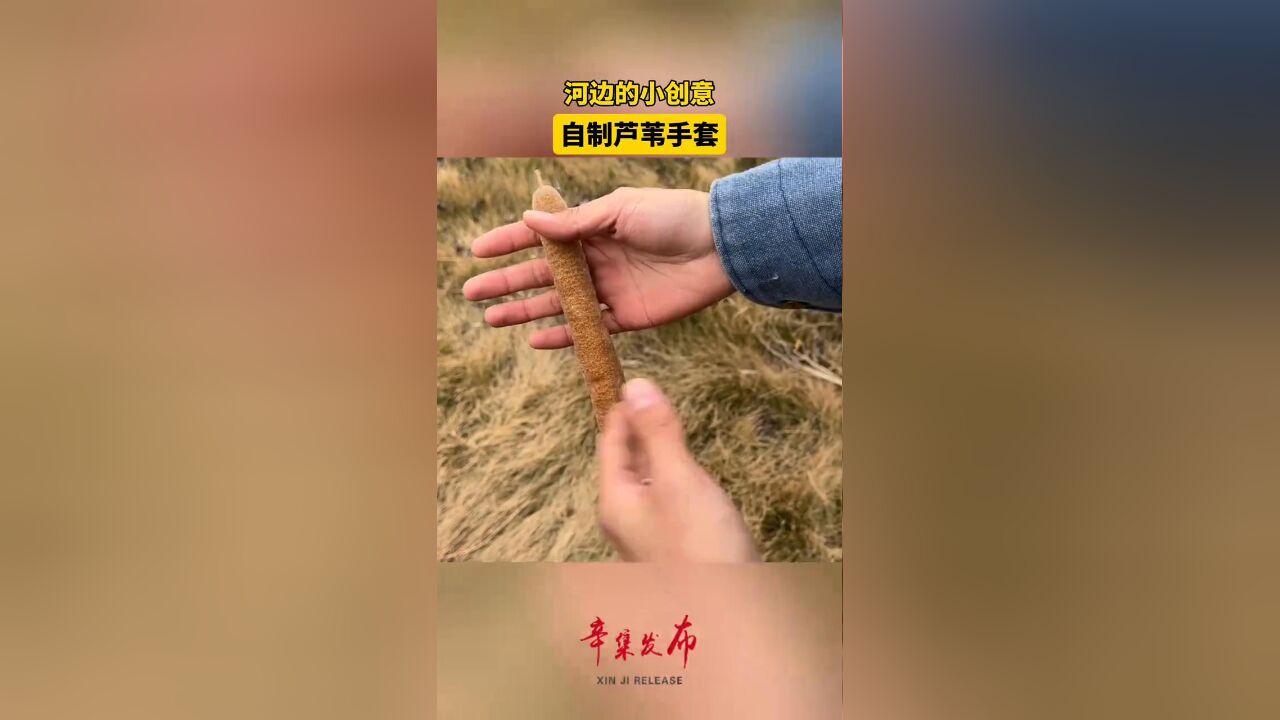 河边的小创意,自制芦苇手套