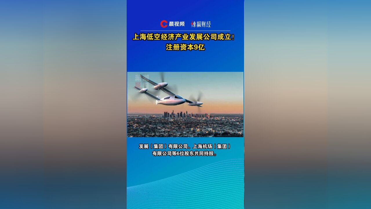 上海低空经济产业发展公司成立!注册资本9亿