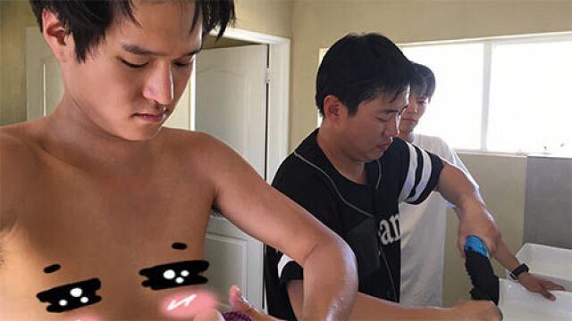 猫头鹰的行为启示：如何提高警觉性？