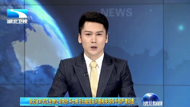 湖北省对武汉生物公司效价不合格百白破疫苗问题相关领导干部严肃问责