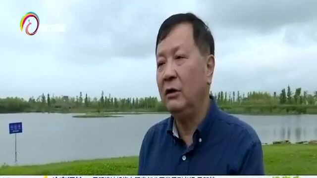 滇池湿地识百草 滇池保护大家参与