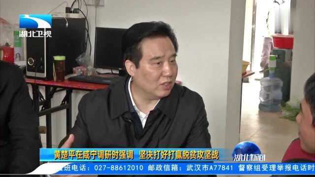 黄楚平在咸宁调研时强调 坚决打好打赢脱贫攻坚战