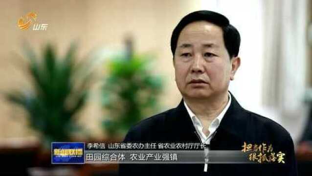 山东:一二三产业融合发展 打造乡村振兴齐鲁样板