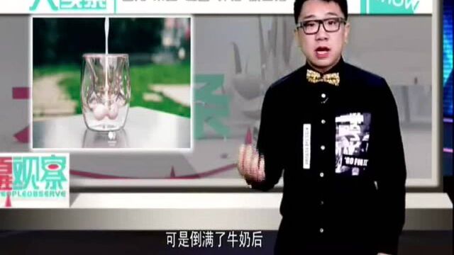 虎说 最“昂贵”的杯子“猫爪杯”成网红 粉丝买它抢破头