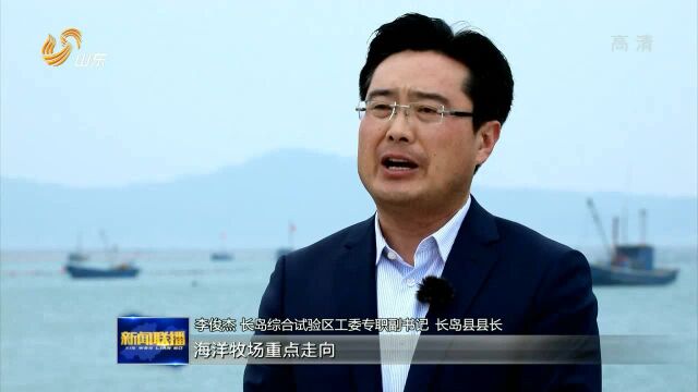 长岛:从“靠海吃海”到“养海护海” 打造蓝色生态之岛