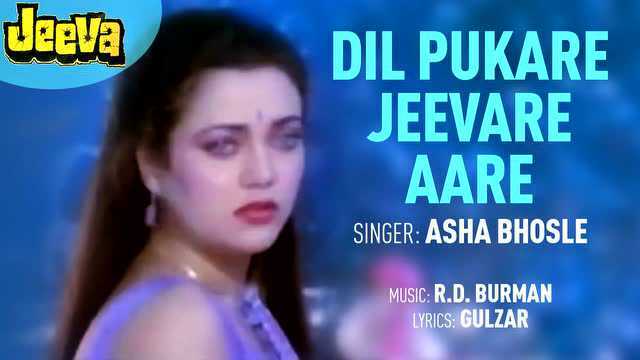 Dil Pukare Jeevare Aare (Pseudo Video)