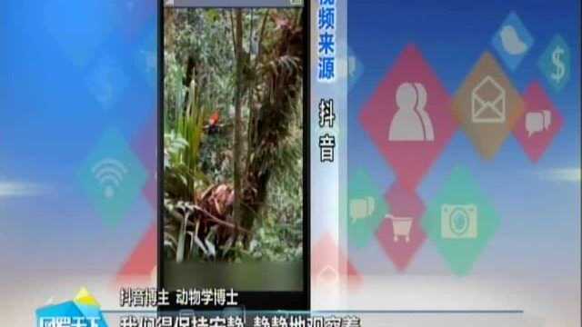 科学网红:“动物学博士”带你一览自然的美丽与震撼