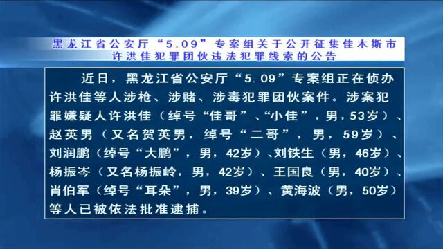 黑龙江省公安厅“5.09”专案组关于公开征集佳木斯市许洪佳犯罪团伙