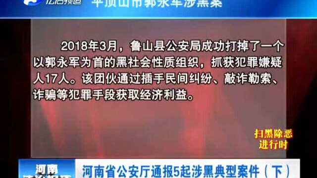 河南省公安厅通报5起涉黑典型案件(下)