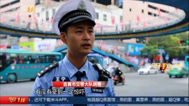 湖南吉首:闹市区突现脱缰马 交警“赶马”