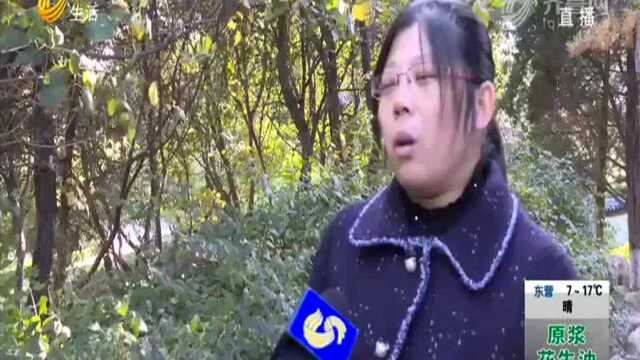 京东网购遇纠纷 买家维权60天无果