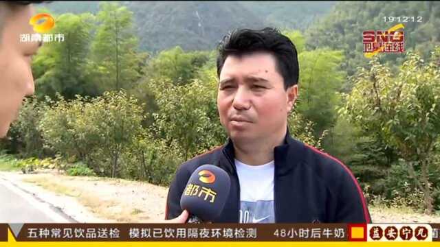 娄底新化县三联峒景区:阿迪力高空走钢丝 极限征服三联峒