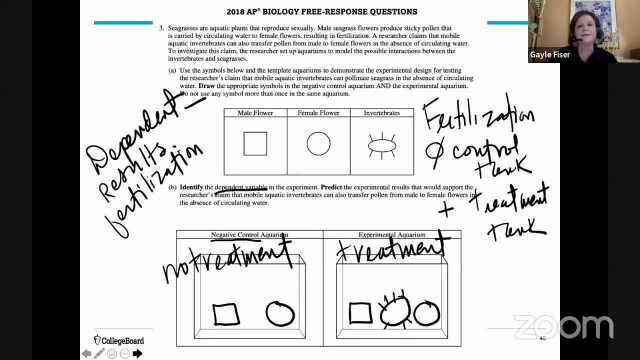 AP Biology 7.4 Population Genetics