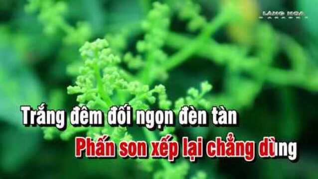 Xa Vắng  Tone Nữ