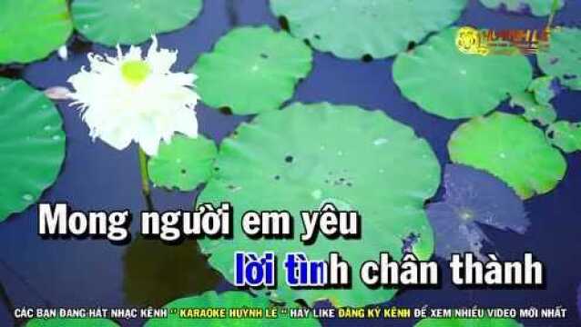 Lời T㬮h Viết Vội Karaoke  Nhạc Sống Tone Nam