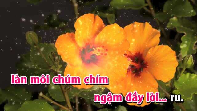 Lời Ru  Giọng Nữ Thấp