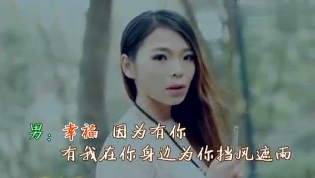 Thumbplayer Poster Plugin Image