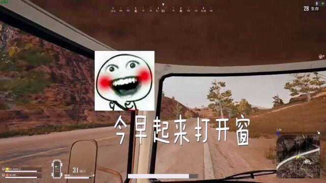 今早起来打开窗,阳光美美哒